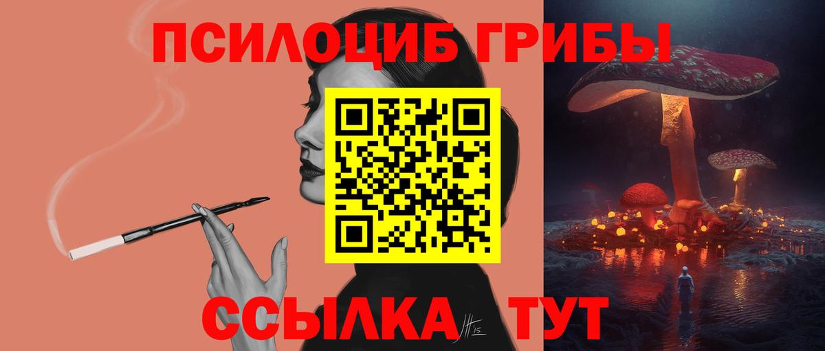 Камышлов  Псилоцибиновые грибы MAGIC MUSHROOMS  Вход с VPN 