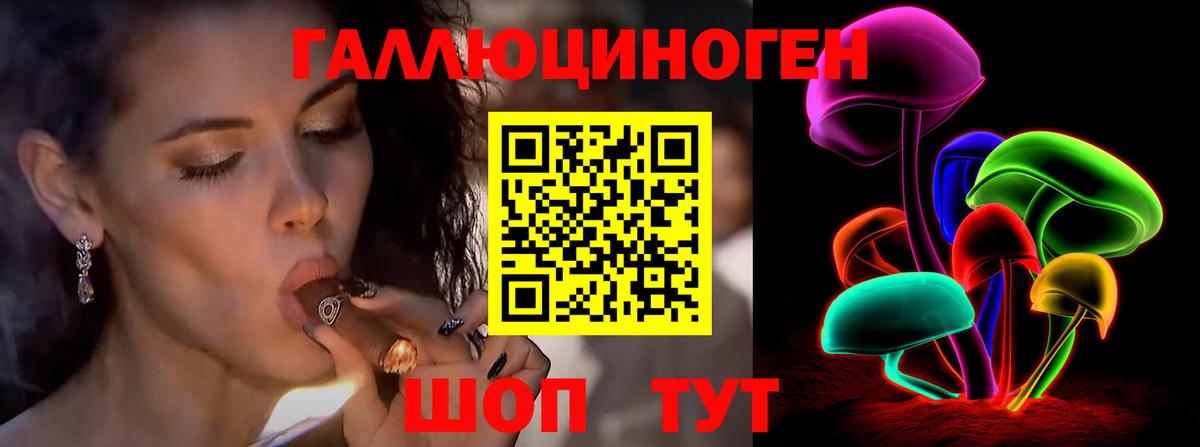 Галлюциногенные грибы прущие грибы Камышлов